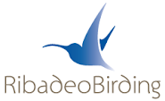 Turismo ornitológico en Ribadeo