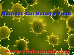 Manfaat dan Bahaya Virus Beserta Penjelasannya Terlengkap
