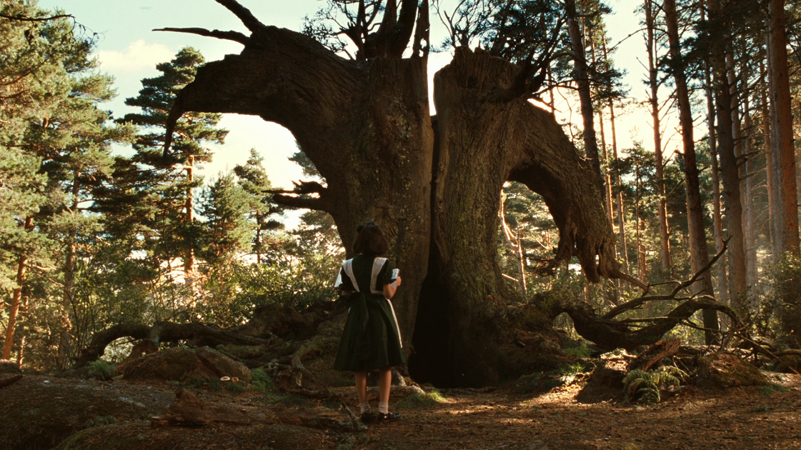 All Things Blog And Beautiful Pan's Labyrinth