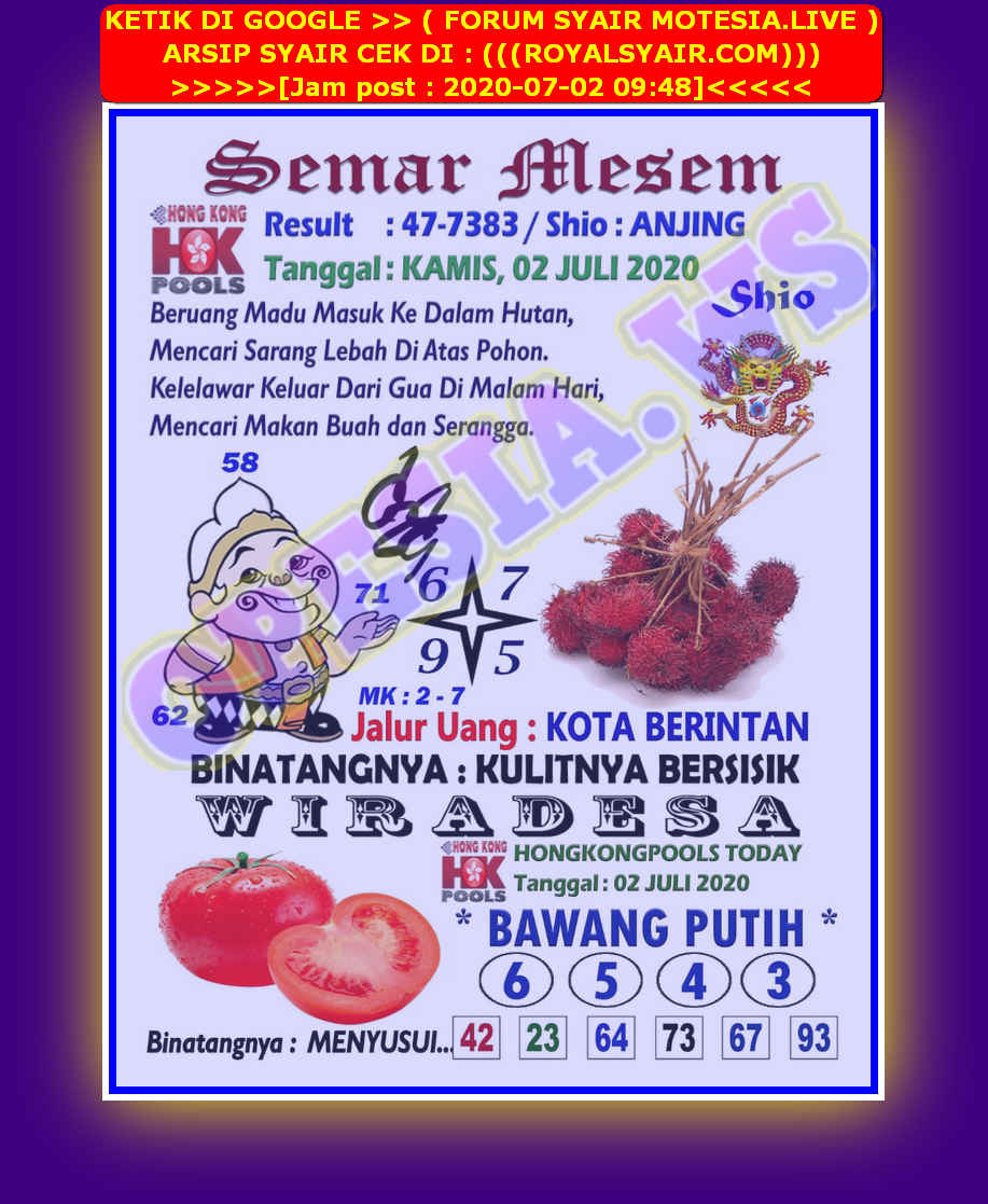 forum syair hk Meloditogel