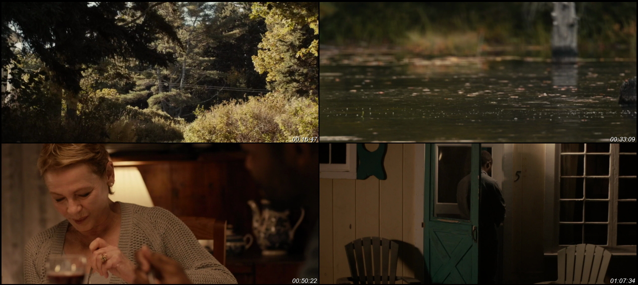 Five Nights in Maine 2015