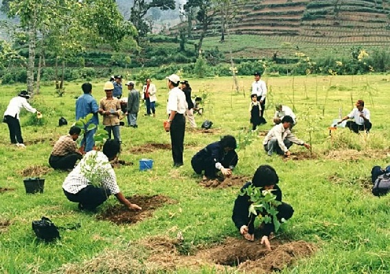 Konservasi Linkungan Geomedia Konservasi Linkungan Geomedia