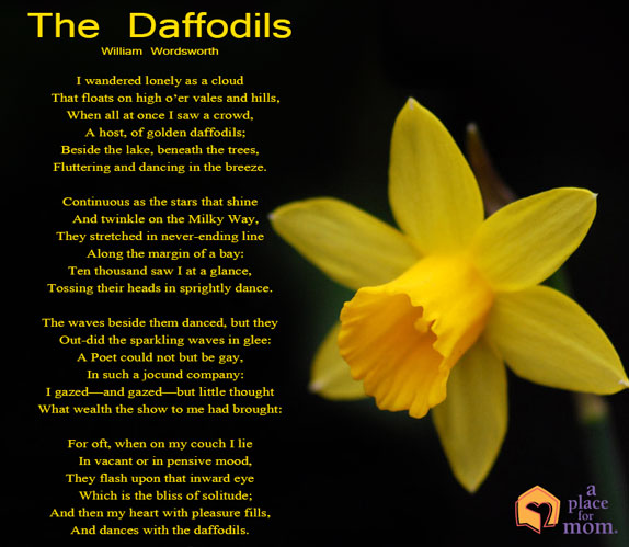 summary the poem daffodils by william wordsworth
