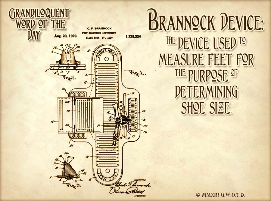 Brannock Device Printable
