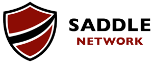 Saddle Network