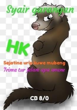 SYAIR HK ASIKTOTO