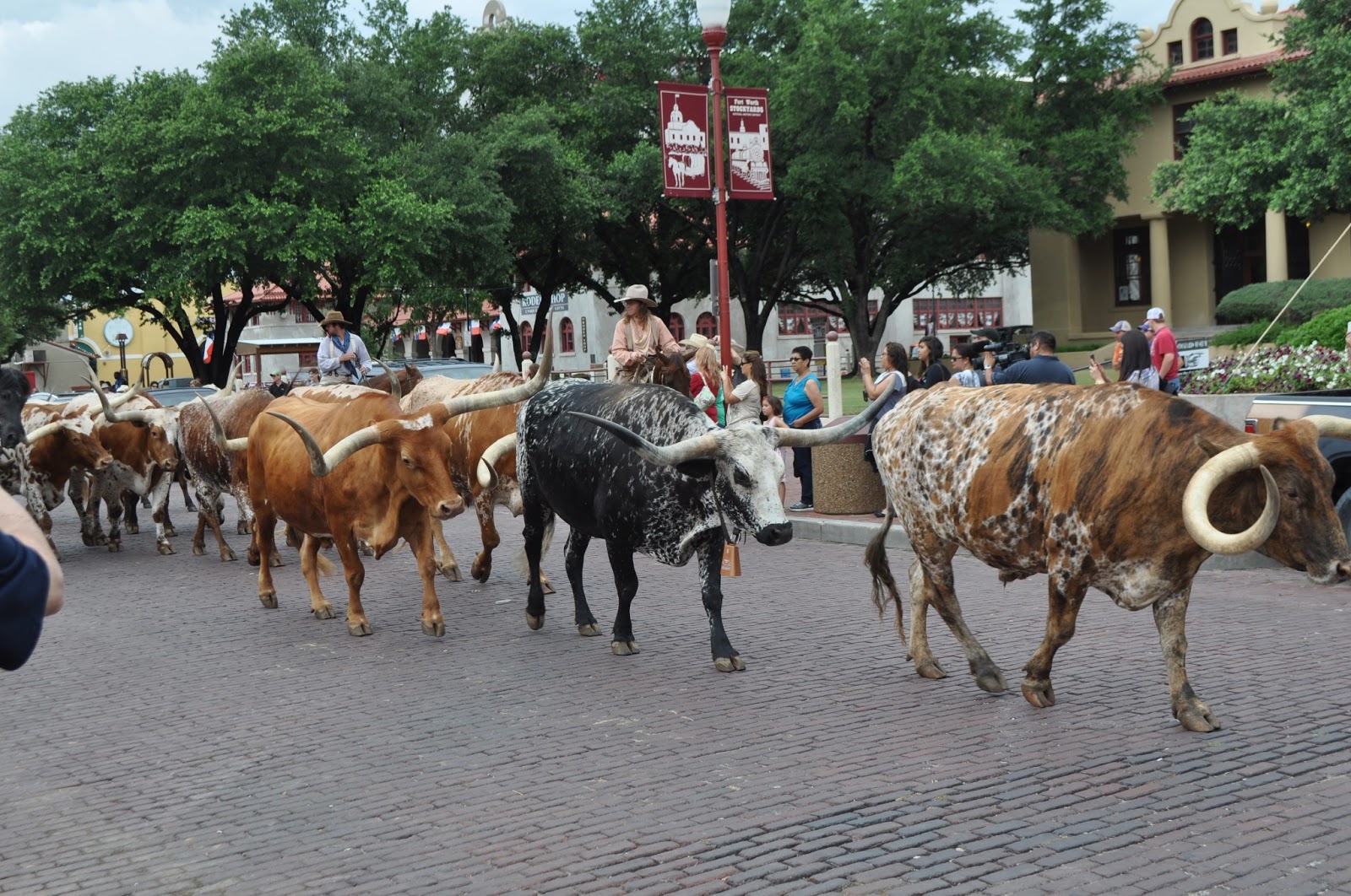 ¶ snow & mist Dallas Stockyards
