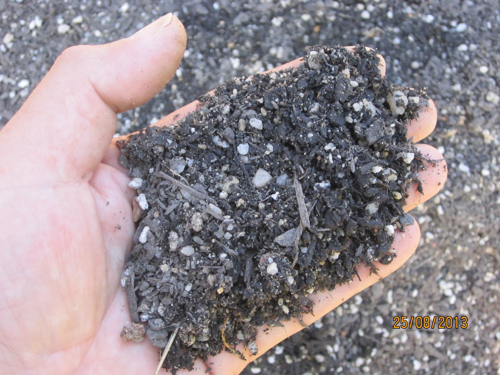 The Niche Nursery Coarse Sand is Horticultural Gold.