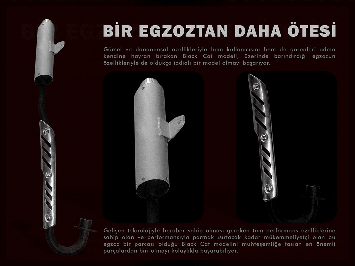 Dimexidom ile saç maskeleri 100