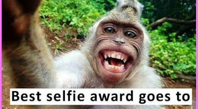 whatsapp image joke download, very funny photo gallery, whatsapp images funny download funny images for whatsapp, funny images for whatsapp group, family dp images, funny memes