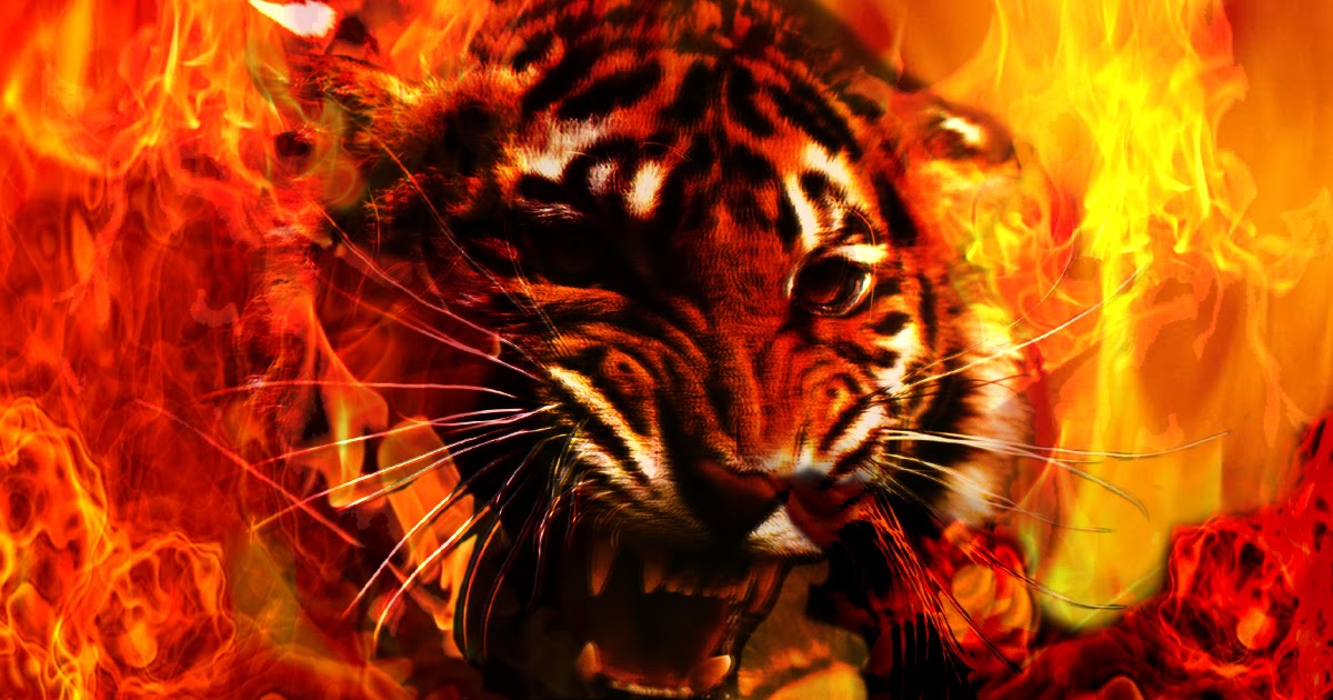 DeviL iN KuaLa LumpuR: DeviL's PAth ~ The Tiger BitinG The DraGon
