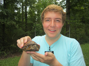 SAVE THE TURTLE DAY 8/16/2012