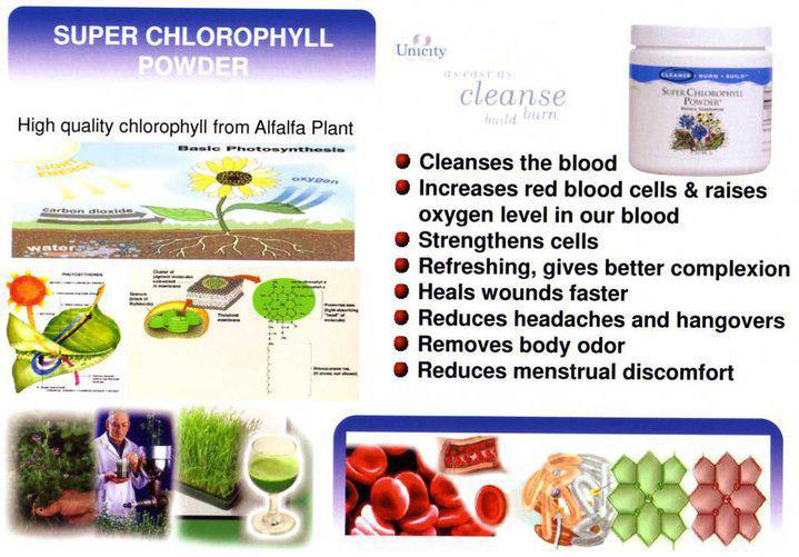 Chlorophyll Power For Skin Benefits