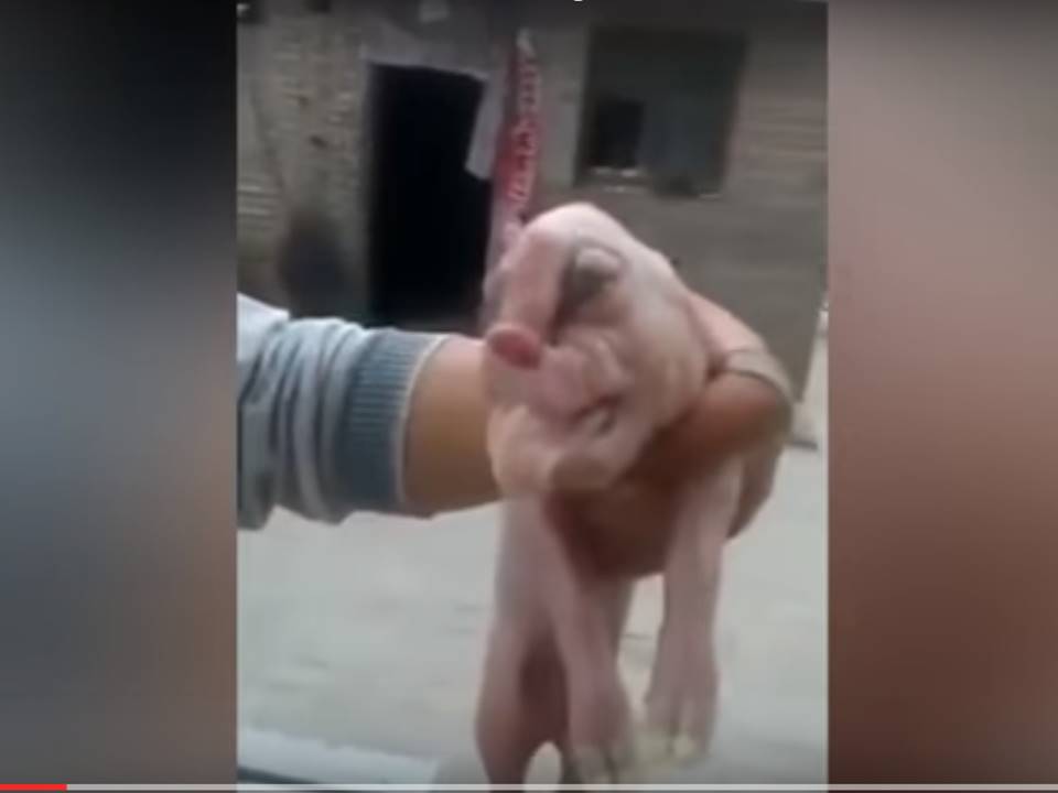 But Youre My New Step Brother Ad Video Of A Penis