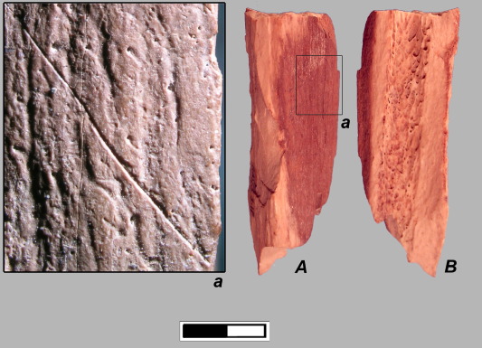 Evidence of cannibalism found in Mesolithic Spain Evidence of cannibalism found in Mesolithic Spain