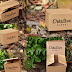 Free Cardboard Box Mockup