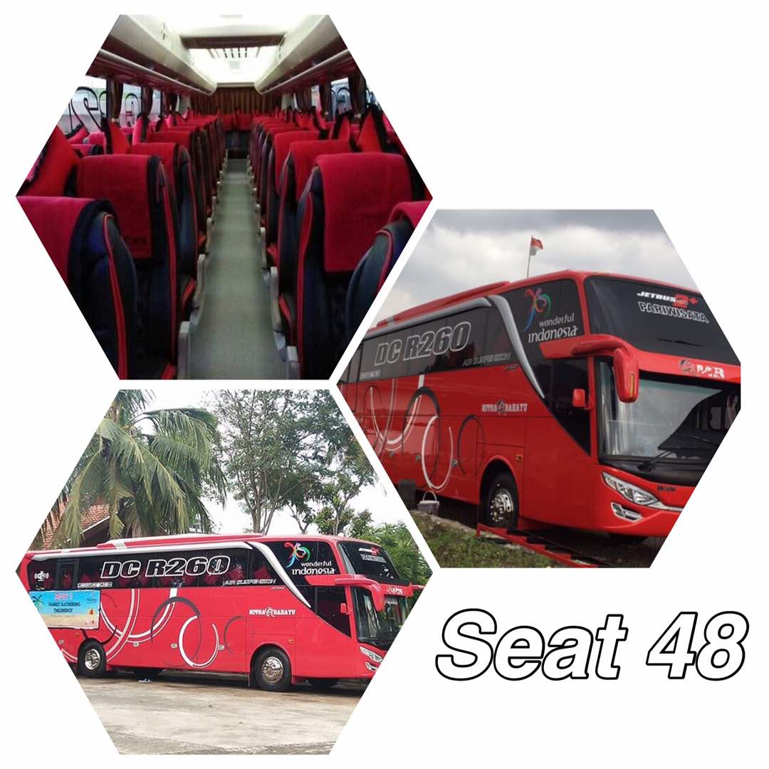 Sensasi Berpetualang: Mejelajahi Dunia dengan Bus Pariwisata Kap Terbuka