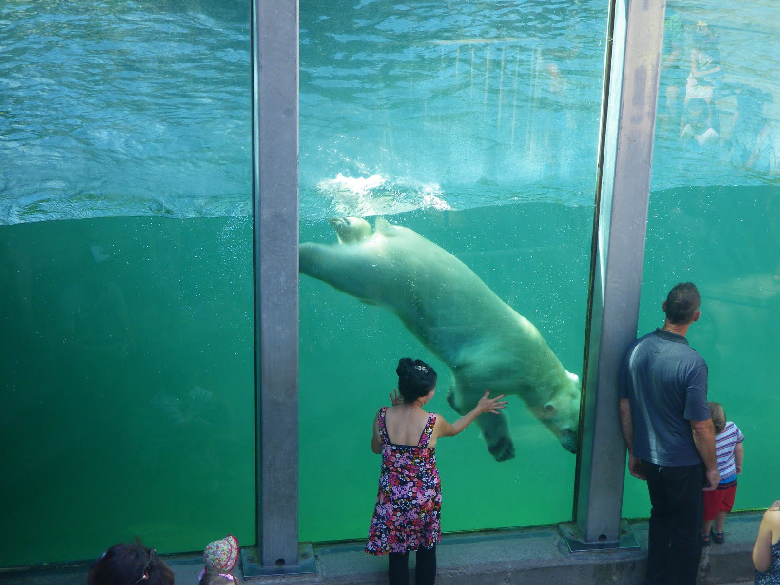 FAMILLE BAMET MONTREAL QUEBEC Zoo de St Félicien