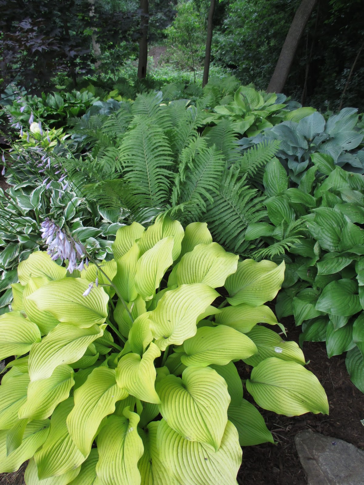 Rotary Botanical Gardens - Hort Blog: Superb Home Garden Tour