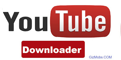 video downloader