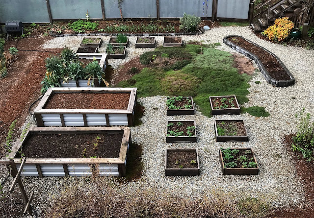 Organic backyard urban garden
