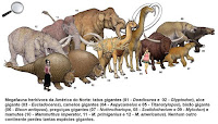 Fuente: http://3.bp.blogspot.com/-mRzN_HHVe30/TfDB0rENrOI/AAAAAAAAAPc/xBVSrvyq3dc/s1600/Megafauna+of+North+America1.jpg