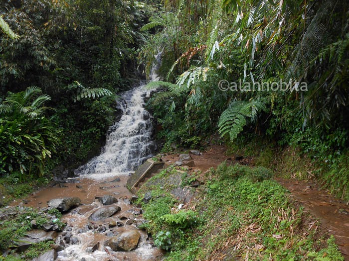 93 Gambar Wisata Air Terjun Irenggolo Paling Hist 93 Gambar Wisata Air Terjun Irenggolo Paling Hist