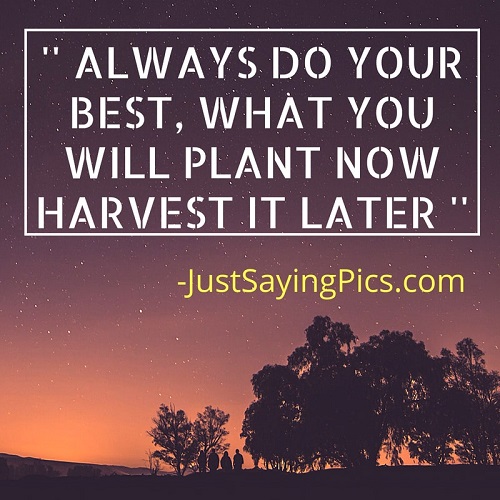 best-motivational-quotes-thoughts-Always-do-your best-what-will-you-plant-now- you-will-harvest- later best-motivational-quotes-thoughts-Always-do-your best-what-will-you-plant-now- you-will-harvest- later