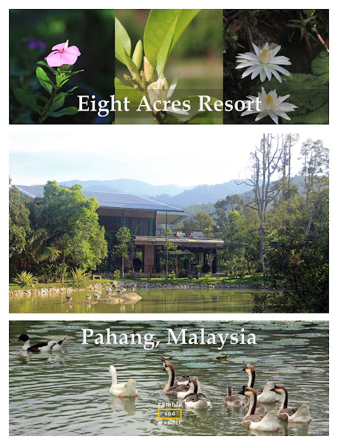 Eight Acres Resort, Raub, Pahang, Malaysia | www.rambleandwander.com