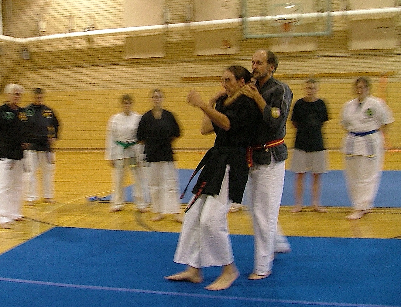 Jujutsu & Karate in Arizona