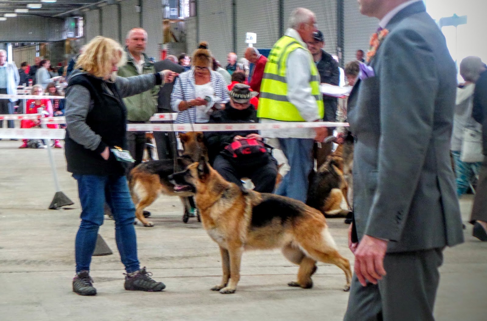 Tali's Tails Welsh Kennel Club Champ Show