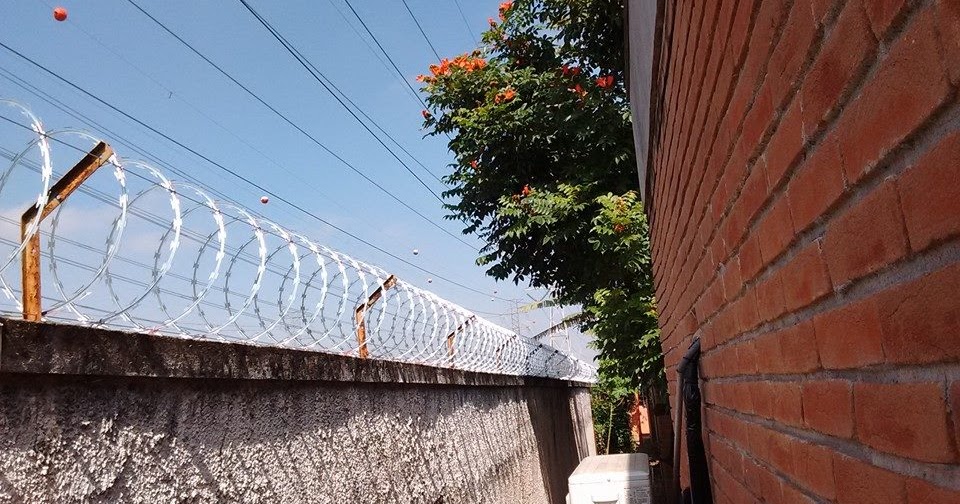 REDECON ESPECIALISTA EM CERCAMENTOS Instalação de Concertina Simples