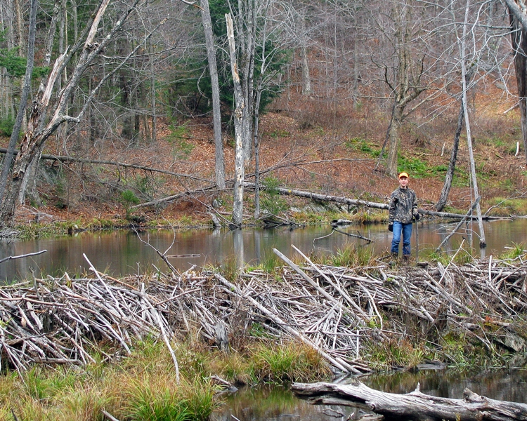 ActionshotsNH Youth Hunting Weekend Vermont