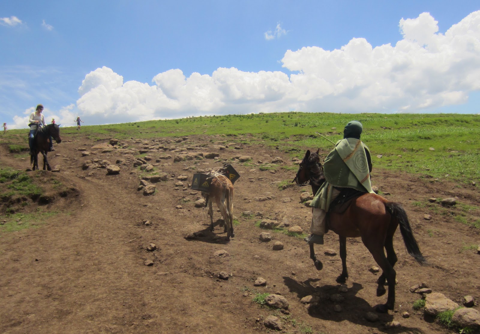 Khotso From Lesotho Animals