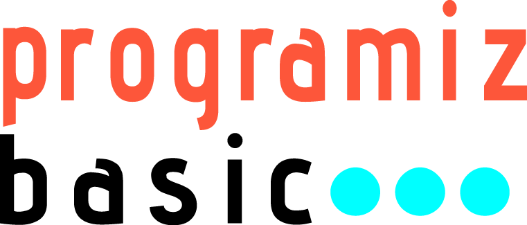 Contact Us - programming basic