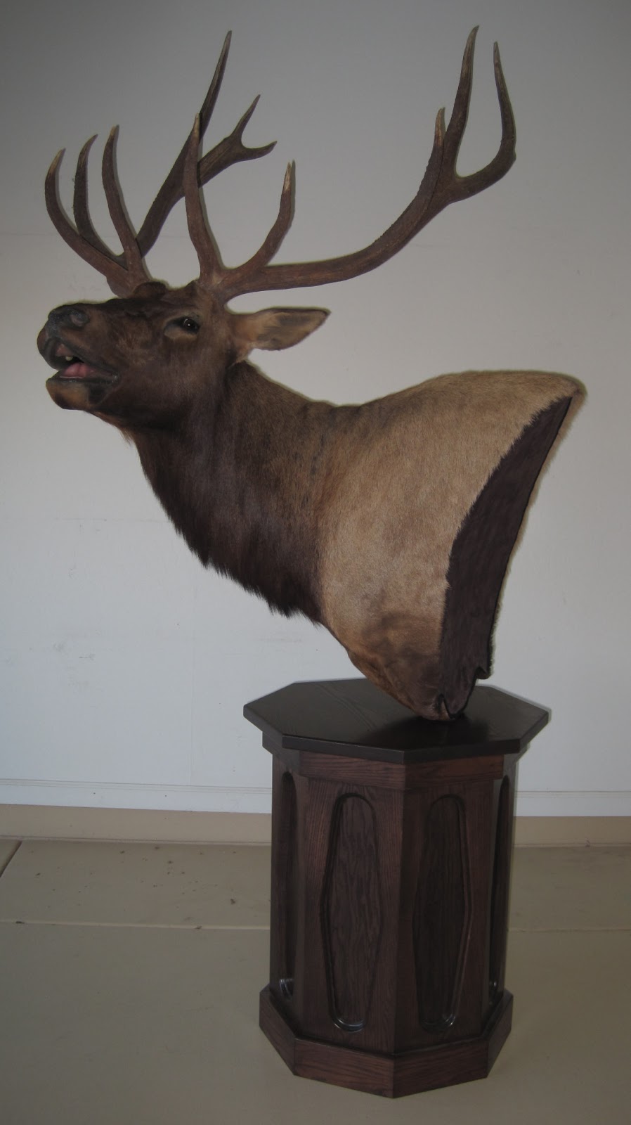 Game Trail Taxidermy Floor Pedestal Elk