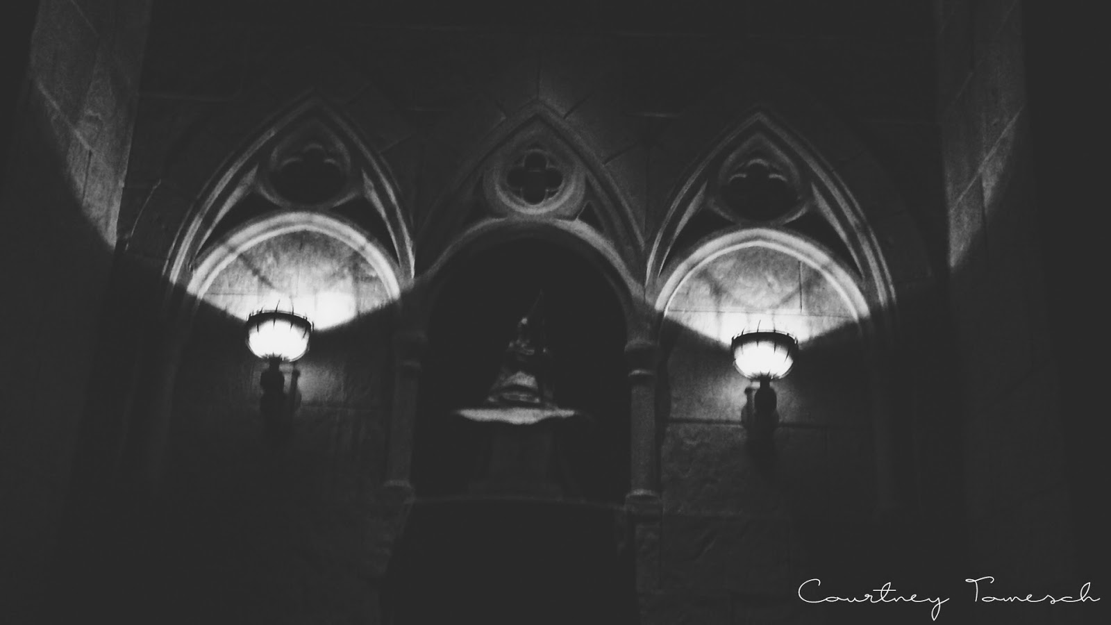Courtney Tomesch Wizarding World of Harry Potter
