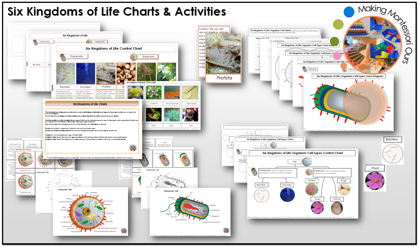 montessori-six-kingdoms-complete-printable-charts-and-activities