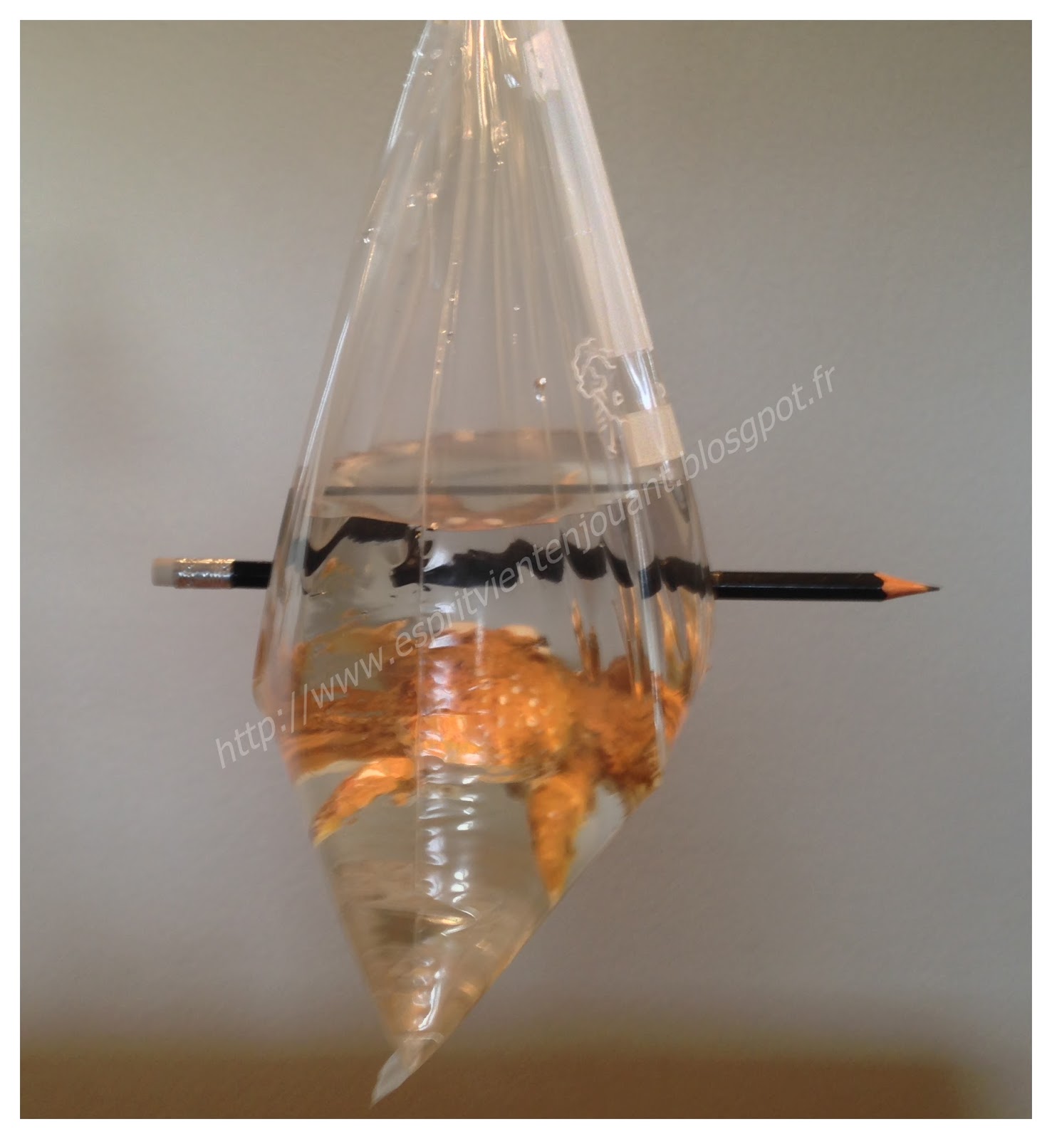 L'esprit vient en jouant [Expérience scientifique] Transpercer un sac d'eau avec un crayon à