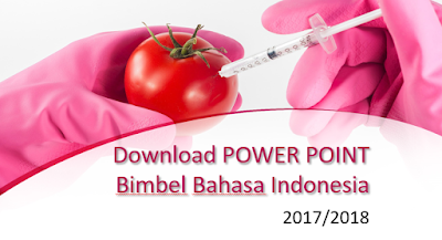 Download Materi Bimbel Bahasa Indonesia Power Point Kelas IX Tahun 2018 (Bag. 2)