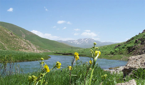 Kurdistan