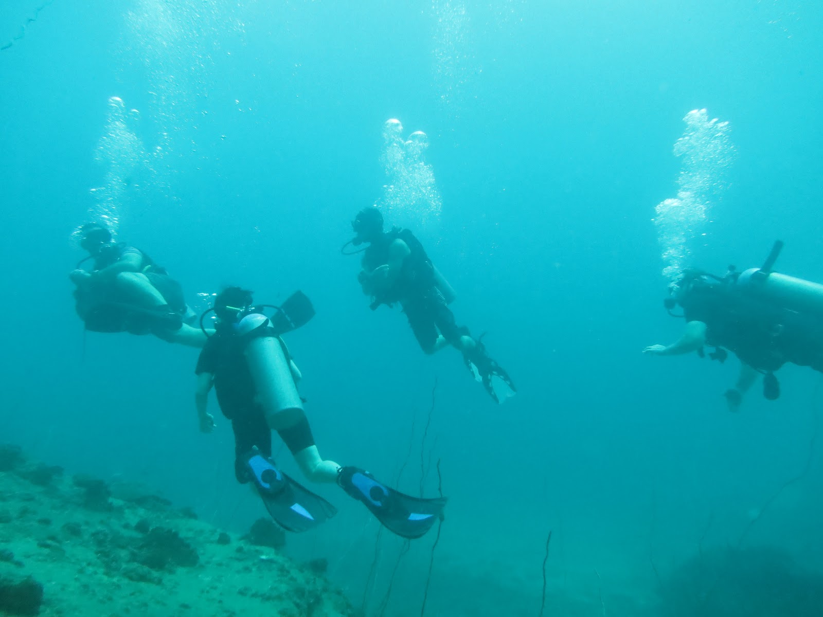 Koh Tao & Chumporn Pinnacle Diving Trip