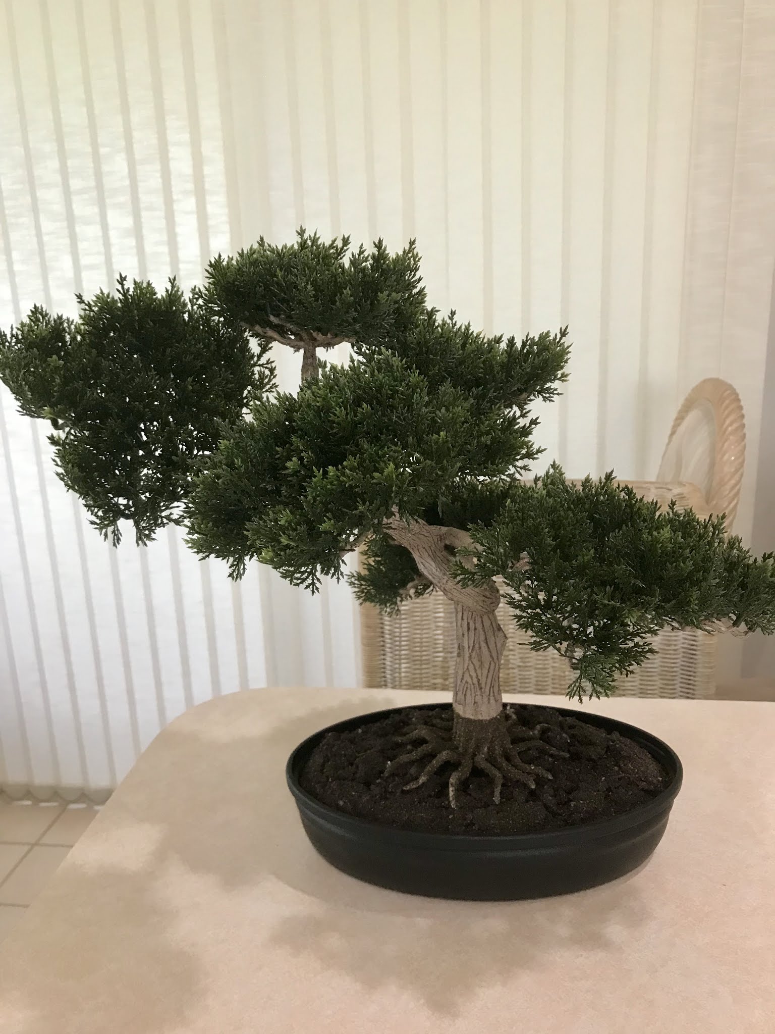 The Commercial Silk Bonsai Tree [The Color Wheel Gallery]