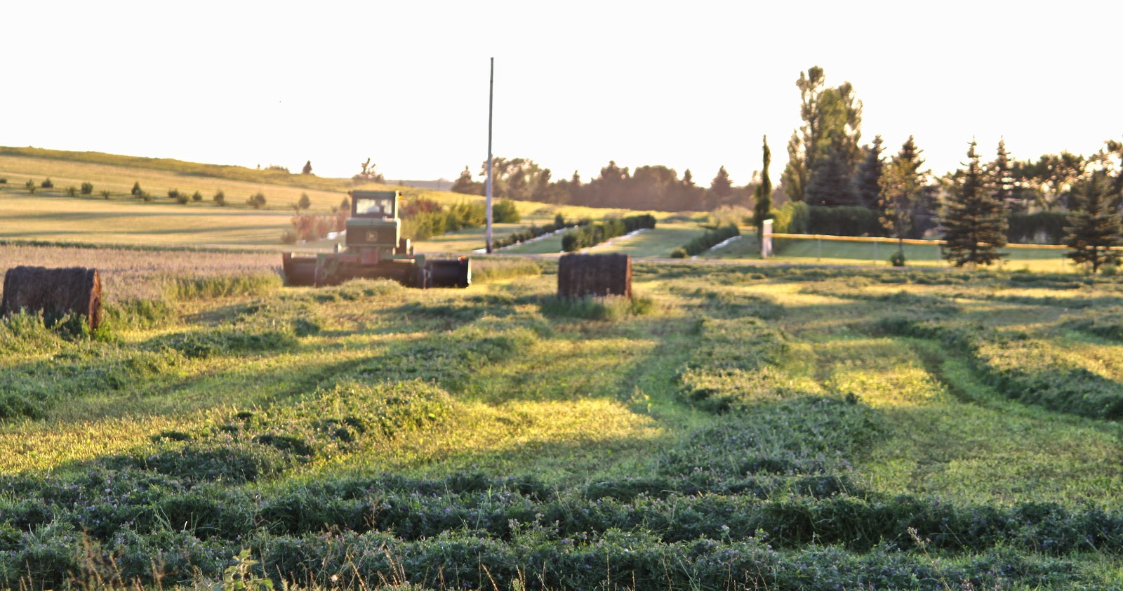 Wishek, North Dakota Looking To Build? Why Not Wishek?