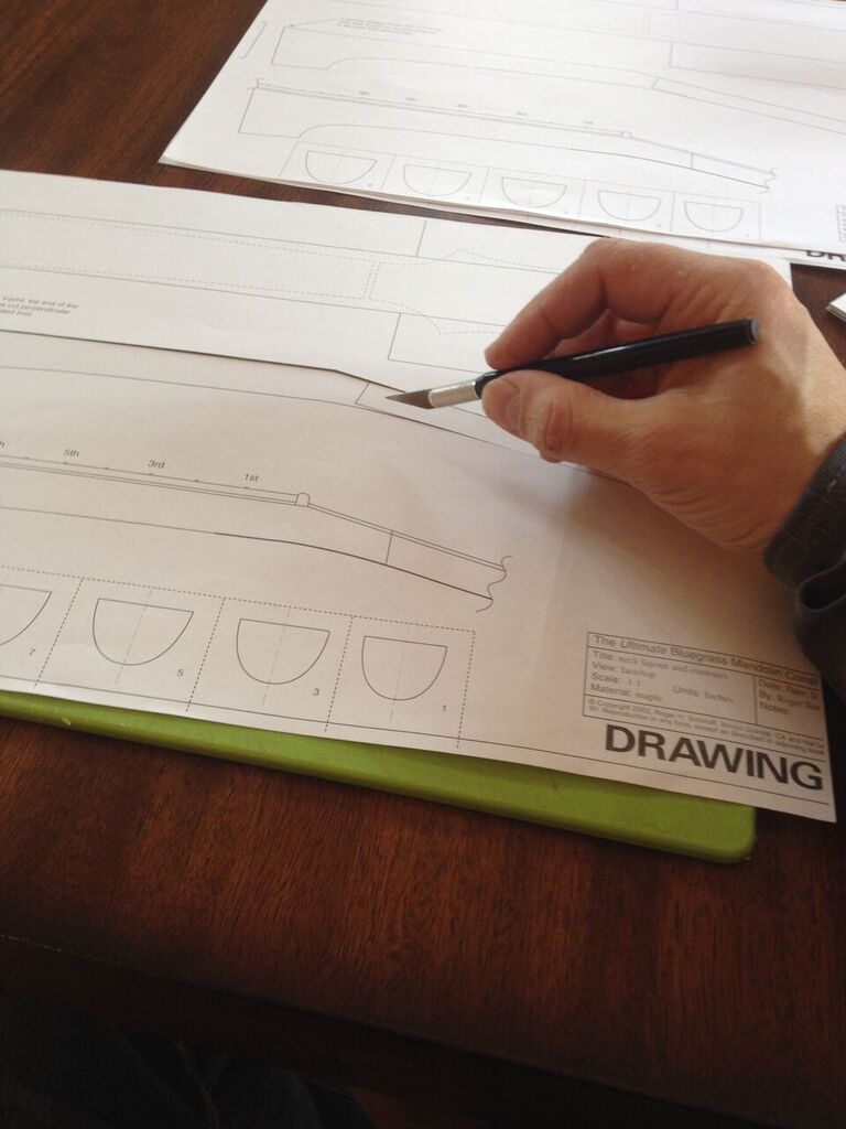 Custom Mandolin The Neck and Truss rod