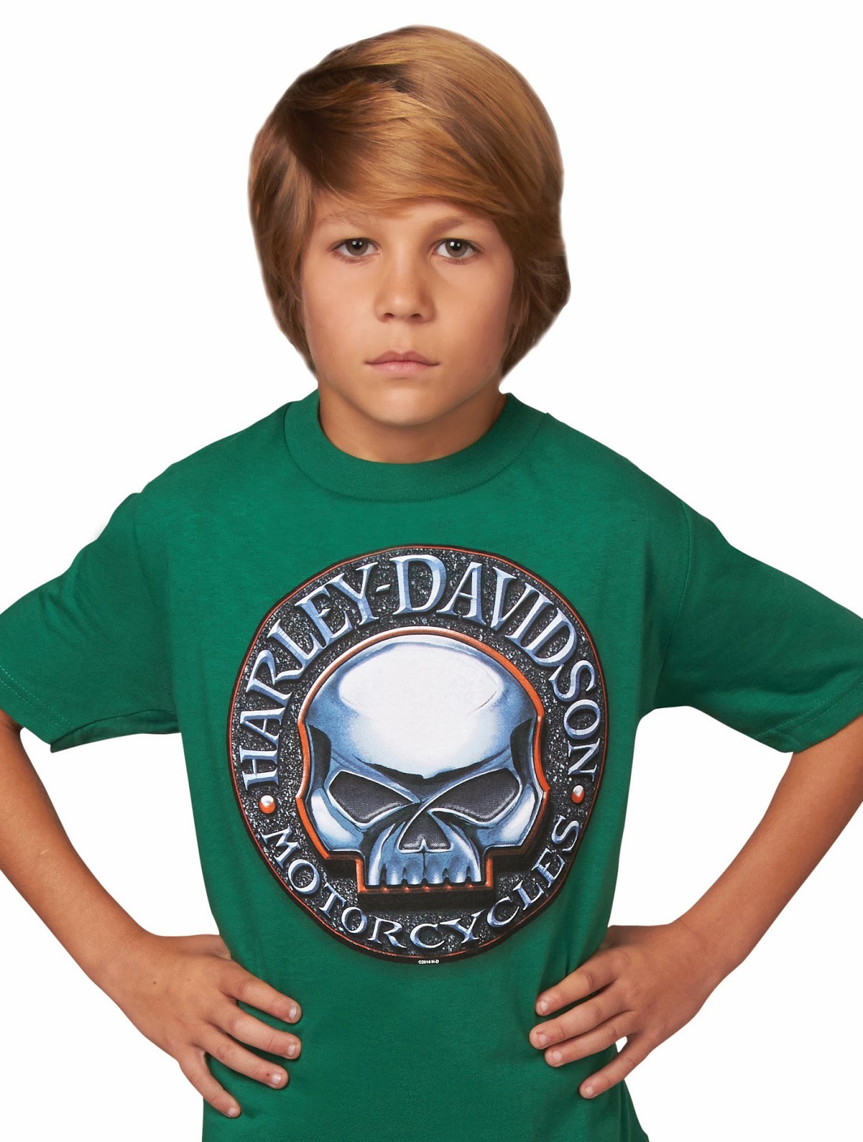 Adventure HarleyDavidson Brand New Long & Short Sleeve Harley® TShirts