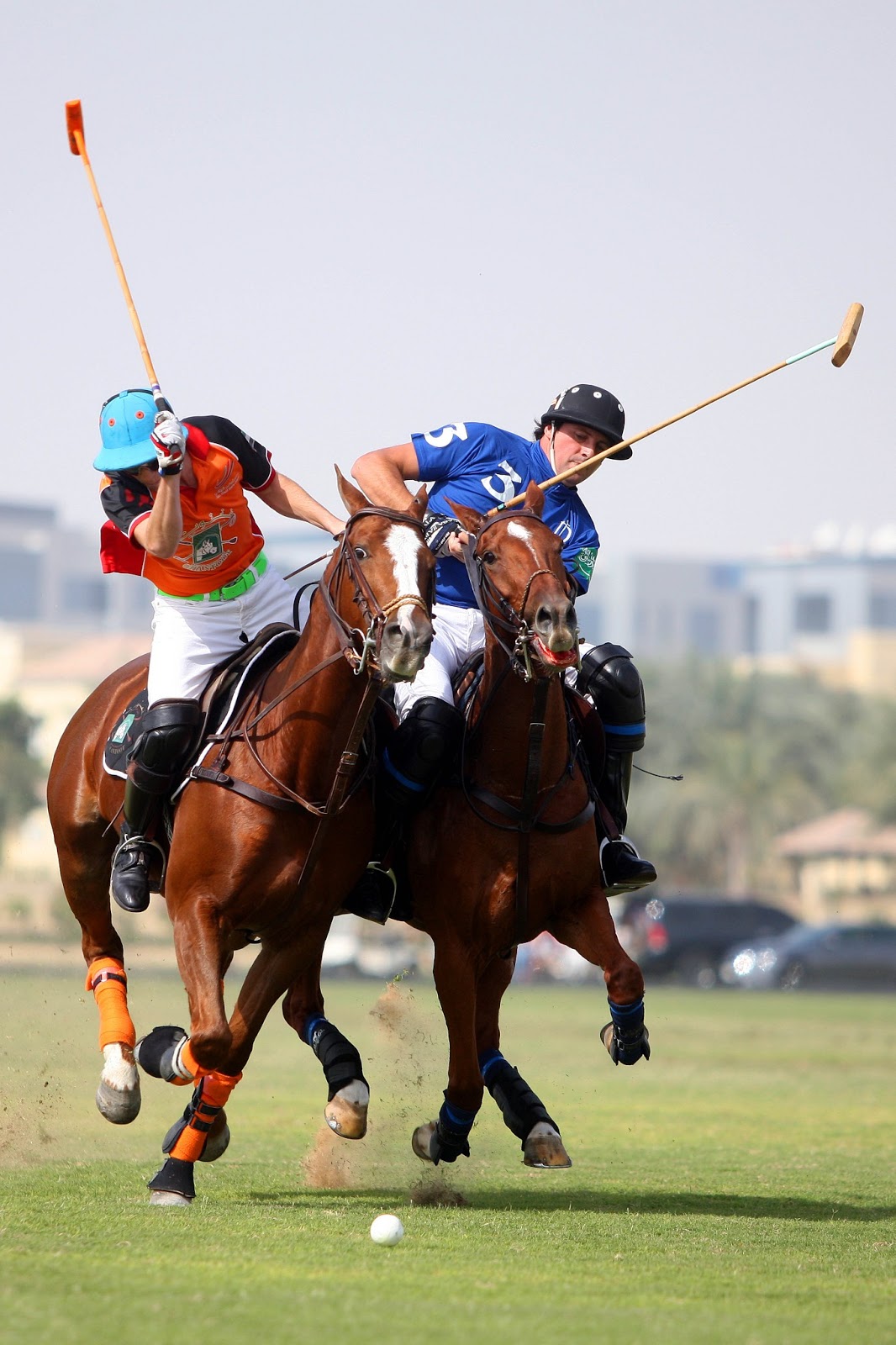 POLO in the UAE Ghantoot and Abu Dhabi started the Dubai Polo Gold Cup