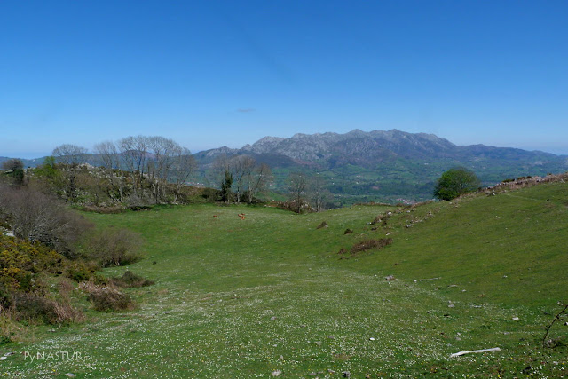 Majada La Bobia con la Sierra del Sueve al fondo Majada La Bobia con la Sierra del Sueve al fondo
