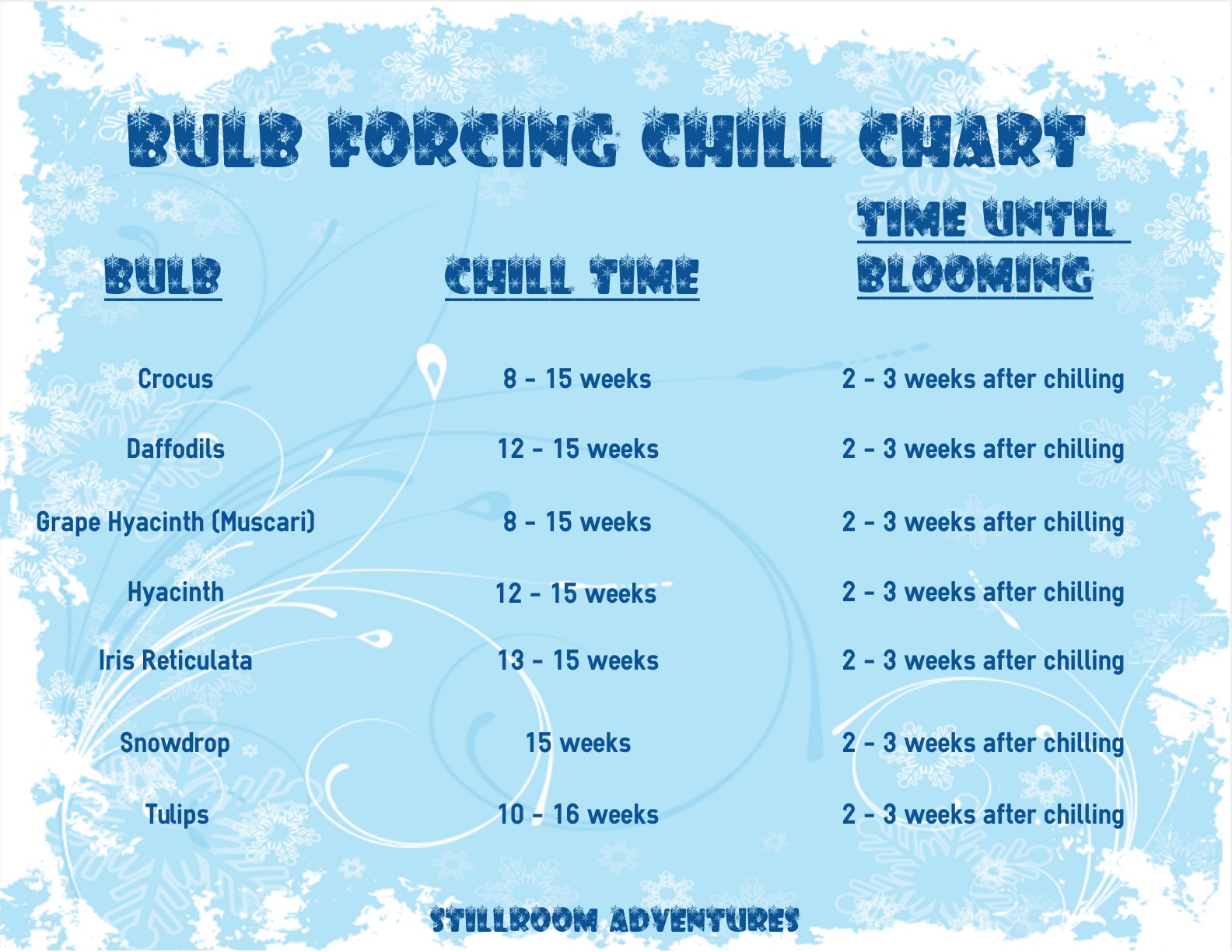 Forcing Bulbs A Howto Guide