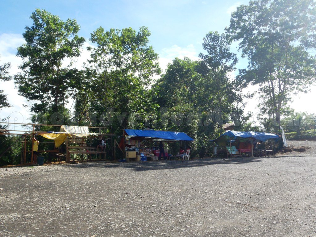 Agusan del Sur A Close Encounter with Lolong, the World's Largest